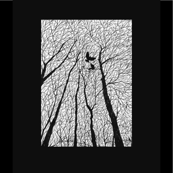 Profile Picture of Anna Oravetz (@roses1585) on Poshmark