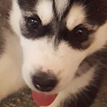 Profile Picture of Jayson (@jbooth15) on Instagram