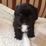 Profile Picture of Debbie (@tyronedebs_) on Instagram