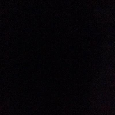 Profile Picture of Official.lilly (@trask_bethany) on Twitter
