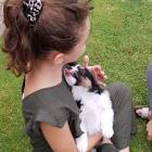 Profile Picture of   ♡ Bo wyn ☆ (@bo_ke_love)... (@bo_ke_love) on Tiktok