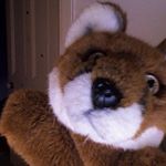 Profile Picture of Steven Gladstone (@fellowhoodlums) on Instagram