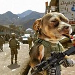 Profile Picture of Jonathan Wiley™️ (@jwiley711) on Instagram