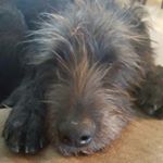 Profile Picture of Haley/Hinkle/Harry (@hlong32) on Instagram
