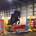 Profile Picture of Marie-Claude Beaudette (@mcbeaudette) on Instagram