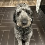 Profile Picture of Jaden Trask (@Jaden-Trask) on Facebook