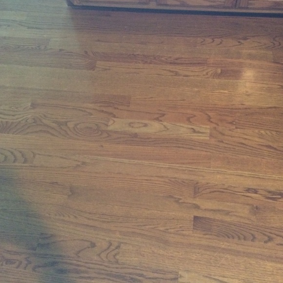 Profile Picture of Molly Ellerbrock (@mskdjfnf) on Poshmark