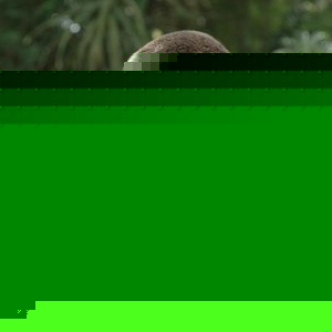 Profile Picture of Danny Fielding (@danf913) on Myspace