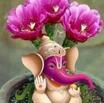 Profile Picture of Dinesh Shetty (@Dinesh-Shetty) on Facebook