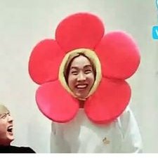 Profile Picture of Shannon (@SteveThePigeon2) on Twitter