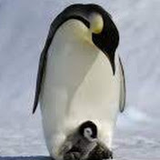 Profile Picture of Phillip Nelson (@phillipnelson9782) on Youtube