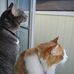 Profile Picture of Patricia Gilbert (@patricia.gilbert.334) on Facebook