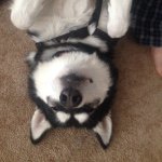 Profile Picture of Mike Quinlan (@mquinlan629) on Instagram