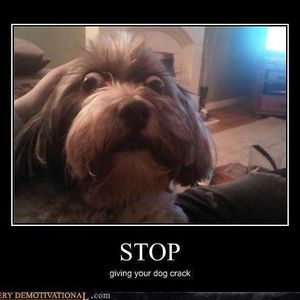 Profile Picture of Christopher Del Rio (@427925064) on Myspace