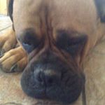 Profile Picture of Lindsey Pauline Lemieux (@lindseypaulinelemieux) on Instagram