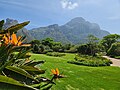 Profile Picture of Kirstenbosch National Botanical Gardenon Wikipedia