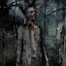 Profile Picture of Trevor Gamache (@trevor.gamache.330) on Facebook