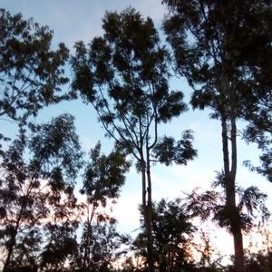 Profile Picture of Charles Devoe (@Charles35220401) on Twitter