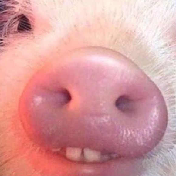 Profile Picture of Genesis Chavez (@ramen_1) on Poshmark