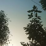 Profile Picture of Тамара Максименко (@tamara_maximenko) on Instagram