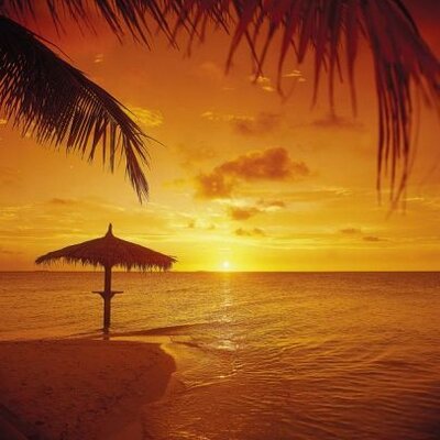 Profile Picture of Robert Goldsmith (@MyMaldives) on Twitter