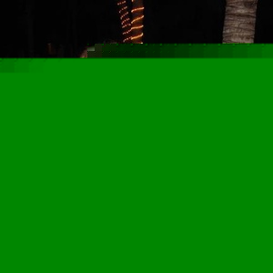 Profile Picture of Jen Duncan (@jendunc) on Myspace