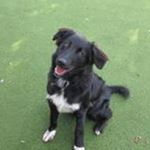 Profile Picture of Josh Barnard (@mabelnjosh) on Instagram