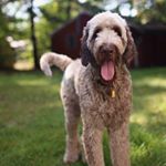Profile Picture of Barry Magic Oswalt (@barrymagicoswalt) on Instagram