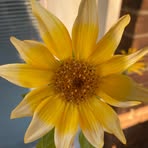 Profile Picture of Nancy Cremeans (@nancy.cremeans.2025) on Facebook