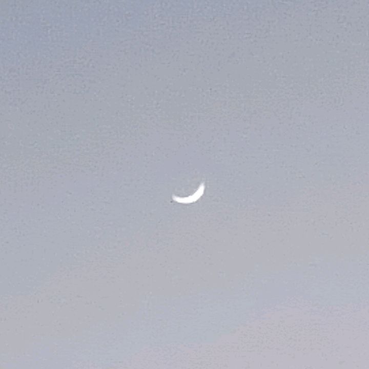 Profile Picture of Matthew (@matthewhennly) on Tiktok