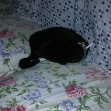 Profile Picture of Jerry Macias (@jerrymacias15) on Twitter