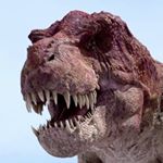 Profile Picture of Mitesh Mistry (@cretaceous_mitesh21) on Instagram