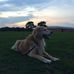 Profile Picture of James Schneider (@james.schnieder.14) on Facebook