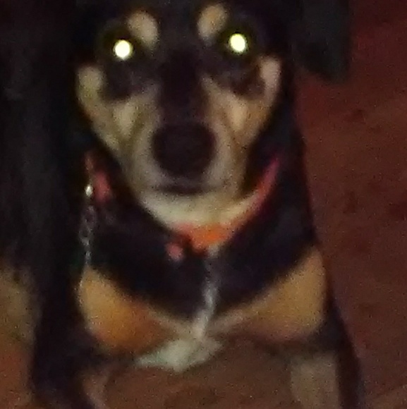 Profile Picture of Stacy Thorn (@miss_whack) on Poshmark