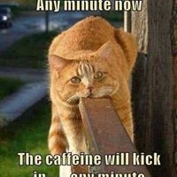 Profile Picture of Laverne Linnenkamp (@laverne-linnenkamp) on Quora