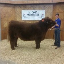 Profile Picture of Cody Sullins (@codysullins) on Twitter