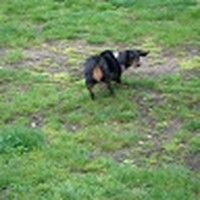 Profile Picture of Andrew Siler (@andrew-siler-9) on Quora