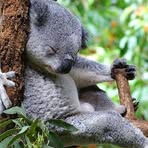 Profile Picture of JungChan Gaopalelwe Lee (@jungchanl) on Facebook