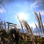 きよかつ - Instagram Profile Picture of きよかつ (@jesse_groompens_) on Instagram