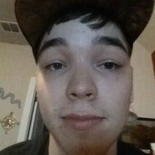 Profile Picture of Alex Maly (@RealAlexMaly) on Twitter