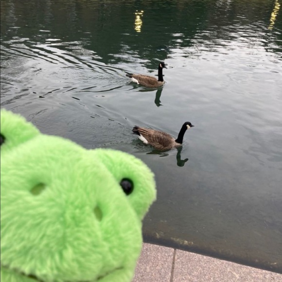 Profile Picture of Isabel Ramirez (@izzyxx0) on Poshmark