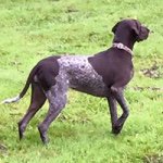 Profile Picture of Brad Muller (@brad037) on Instagram