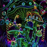 Profile Picture of NICK GRIEGO (@nick6475) on Instagram