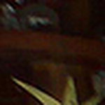 Profile Picture of jose daniel san martin (@daniel sanmartin) on Flickr