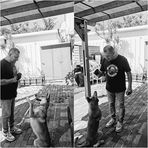 Profile Picture of Alexander Groisman (@alexander.groisman.7) on Facebook