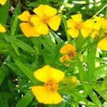 kay petersen - Instagram Profile Picture of kay petersen (@lorraine.petersen.1023) on Instagram