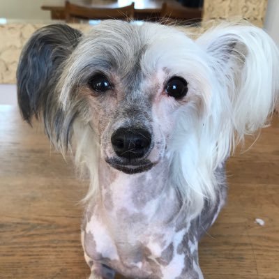 Profile Picture of Jeremiah Bosgang (@jeremiahbosgang) on Twitter