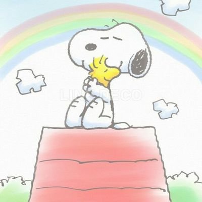 Profile Picture of Celest Lee (@celeestlee) on Twitter