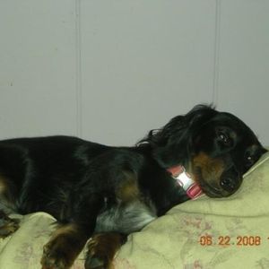 Profile Picture of Eileen Mcmahon (@eilmcmahon) on Myspace