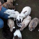 Profile Picture of Jeff W (@joeferry07) on Instagram